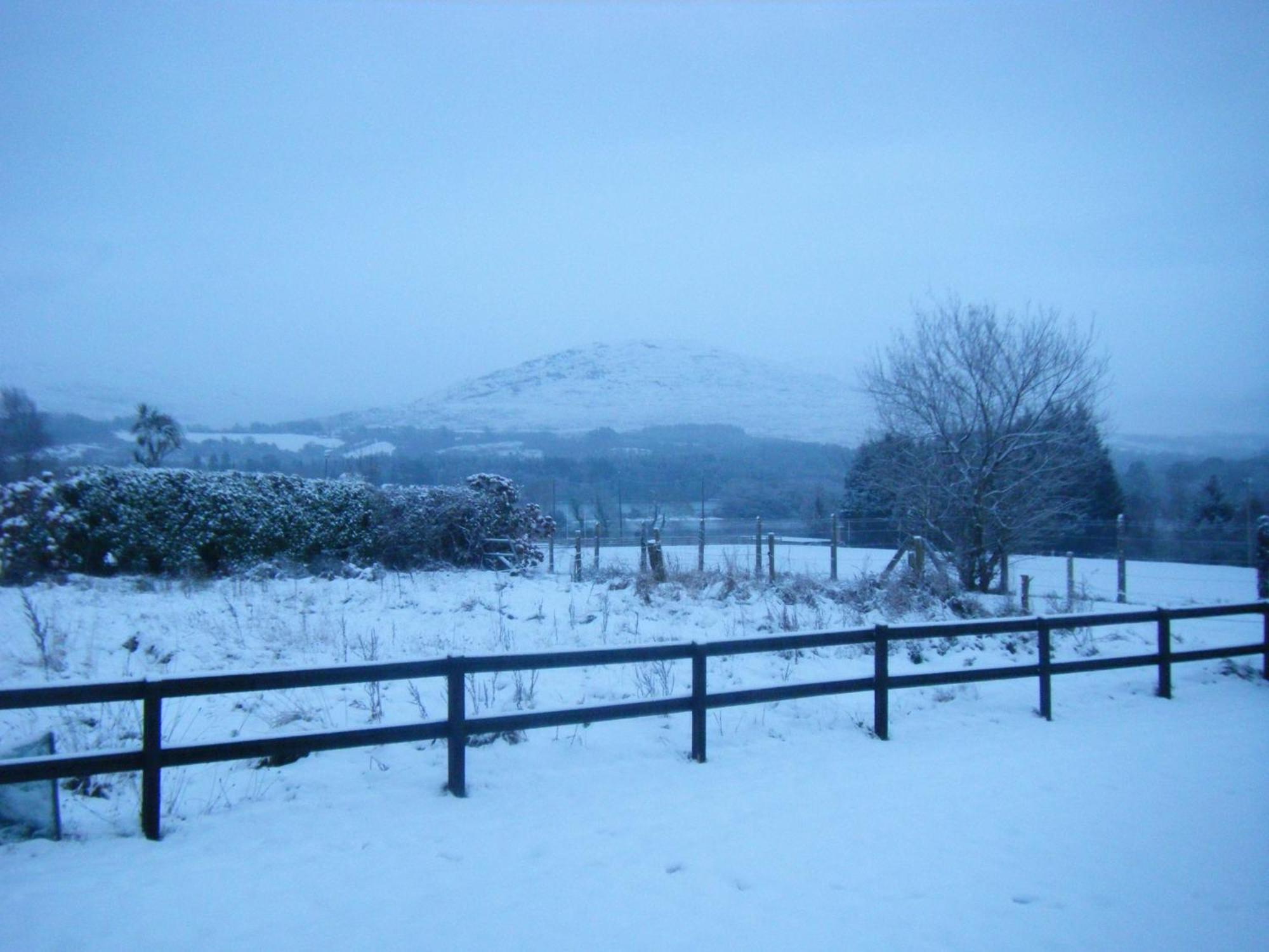 Ashfield B&B Kenmare Exteriör bild